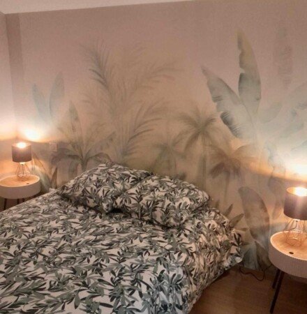 Appartement 1 chambre
