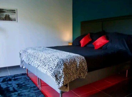 Studio cozy, 1 chambre, avec jardin