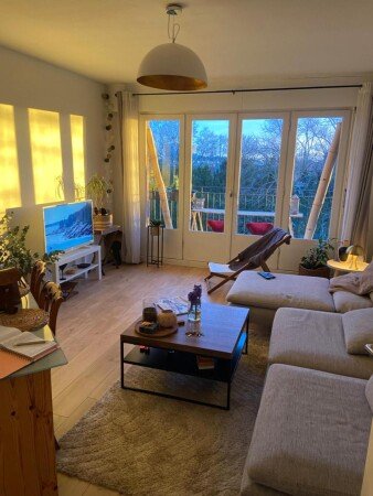 Appartement 1 chambre