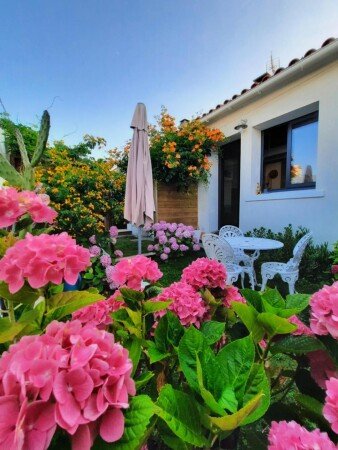 Maison cozy, 1 chambre, avec jardin