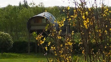 Tente 1 chambre, avec piscine