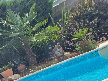 Gîte 2 voyageurs, avec piscine