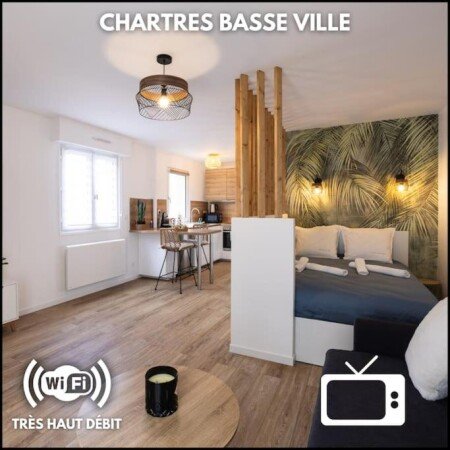 Appartement 1 chambre, avec wifi