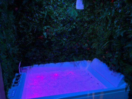 Appartement 1 chambre, avec jacuzzi