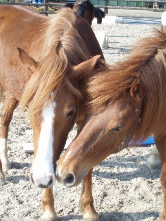 Appartement 2 chambres, avec climatisation