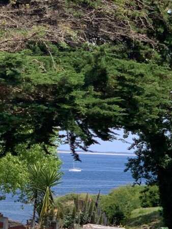 Appartement 1 chambre, avec jardin