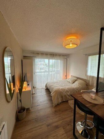 Appartement cozy, 1 chambre, avec parking