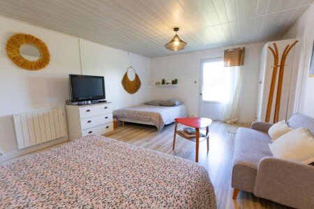 Appartement 1 chambre, avec jardin