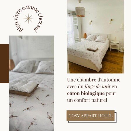 Appartement cozy, 1 chambre, avec climatisation