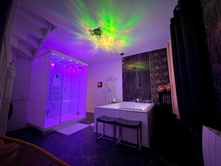 Appartement 1 chambre, avec jacuzzi