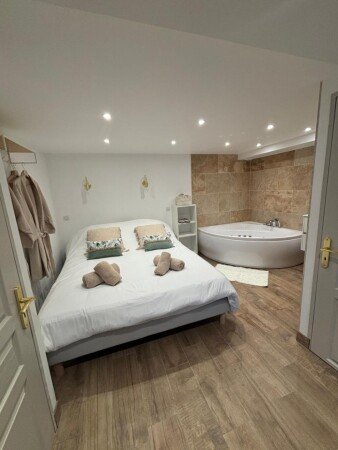 Appartement 1 chambre, avec jacuzzi