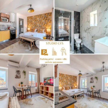 Appartement 1 chambre, avec climatisation