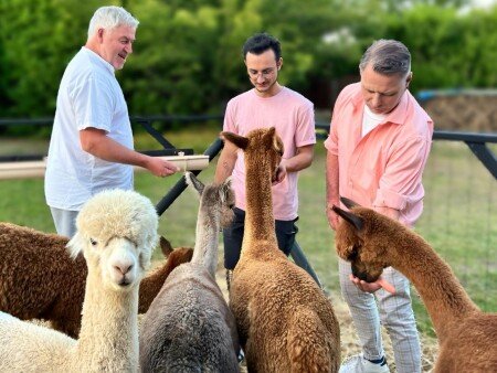 Bed and breakfast 2 voyageurs, avec piscine