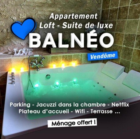 Loft 1 chambre, avec jacuzzi