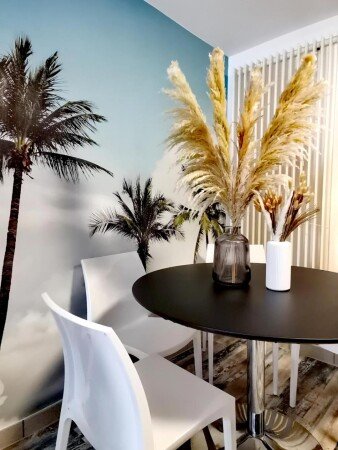 Appartement 1 chambre, avec jardin