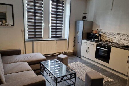 Appartement 1 chambre, avec jardin
