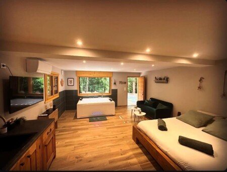 Appartement 1 chambre, avec jacuzzi