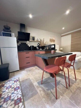 Apartamento 1 habitación, con jardín