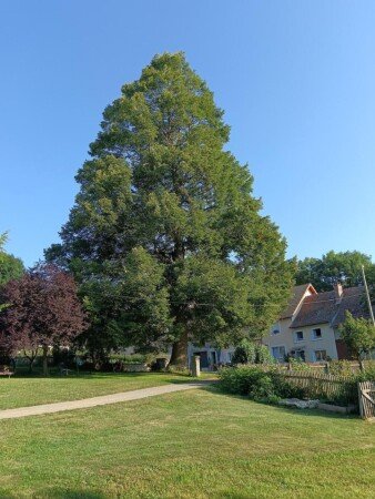 Maison de campagne 2 chambres, avec jardin