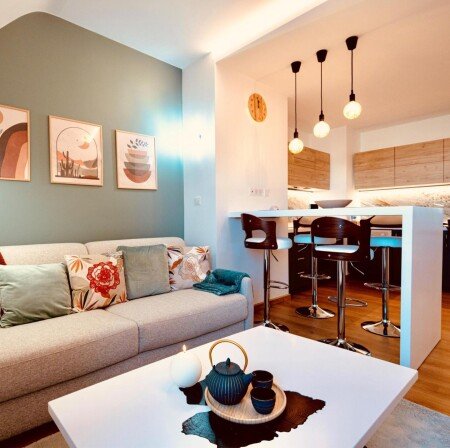 Appartement 1 slaapkamer, met wifi