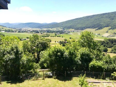 Appartement 1 chambre, avec jardin