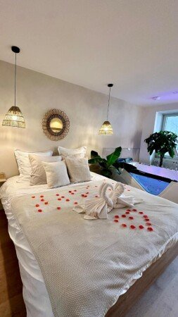 Appartement 1 chambre, avec jacuzzi