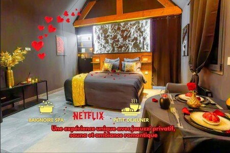 Appartement 1 chambre, avec jacuzzi