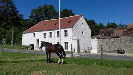 Gîte 1 chambre, avec jardin