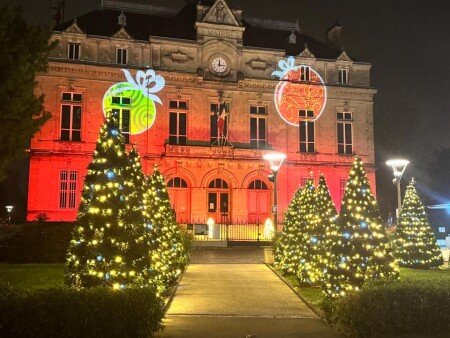 Appartement 1 chambre, avec jardin