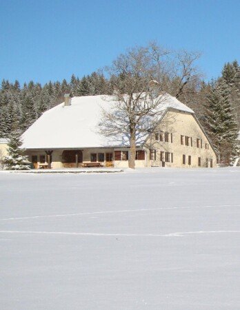 Chalet 1 chambre, avec jardin