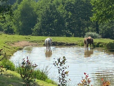 Maison 2 chambres, avec jardin