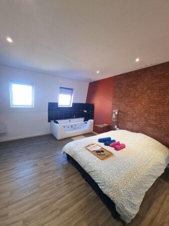 Appartement cozy, 1 chambre, avec jacuzzi