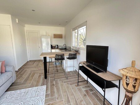 Appartement 1 chambre, avec jardin