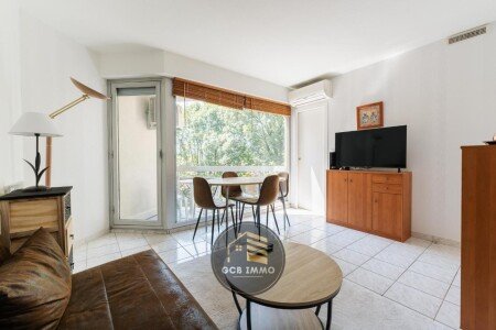 Appartement 1 chambre, avec climatisation