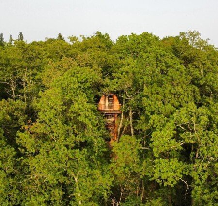 Cabane 1 chambre, avec jardin