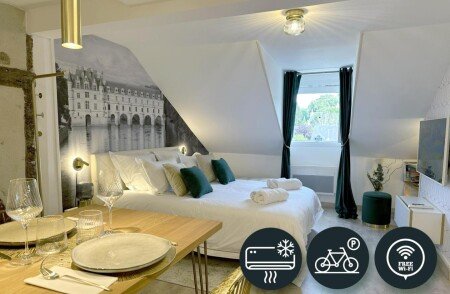 Appartement 1 chambre, avec jardin