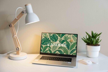 Maison 1 chambre, avec wifi