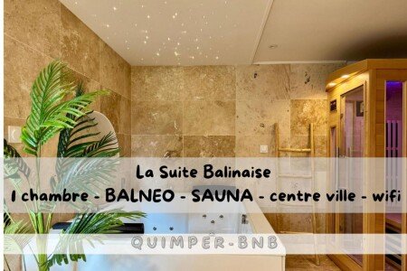 Appartement 1 chambre, avec jacuzzi