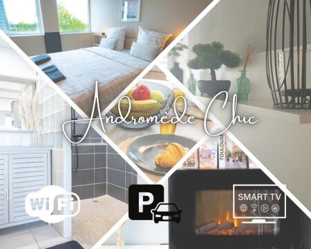 T2 chic, 1 chambre, avec wifi