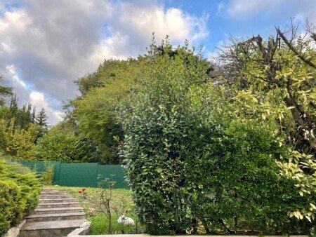 Maison 1 chambre, avec jardin