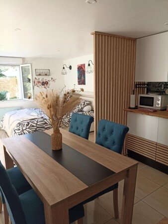 Appartement 1 chambre, avec jardin