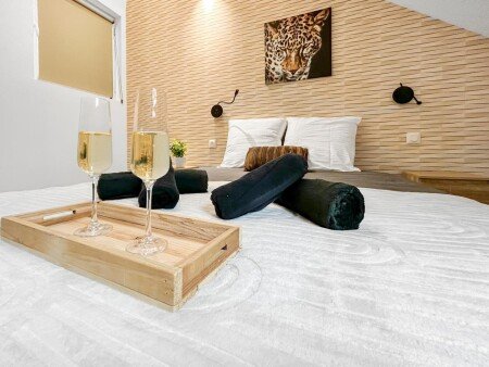 Appartement cozy, 1 chambre, avec wifi