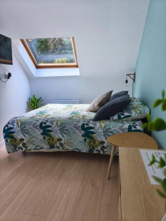 Studio cozy, 1 chambre, avec wifi