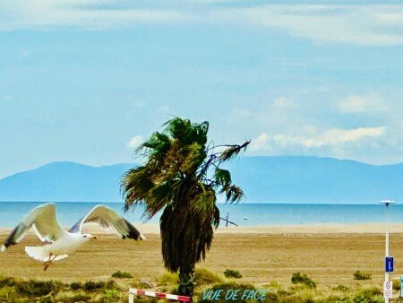 Chalet 8 voyageurs, avec climatisation