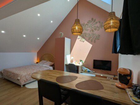 Appartement 1 chambre, avec climatisation