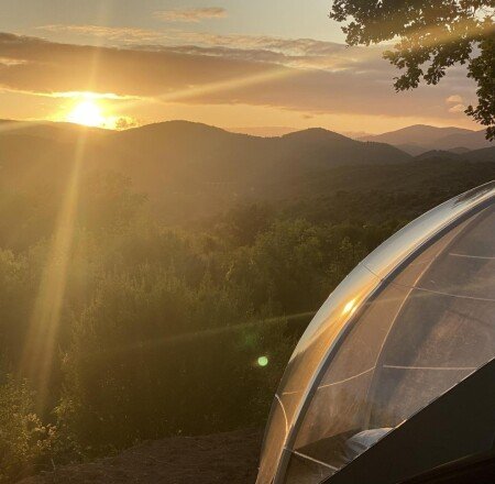 Bulle 1 chambre, avec jardin