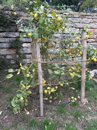 Camping / Mobil Home 1 chambre, avec piscine