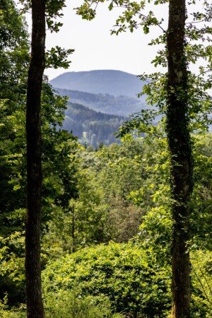 Roulotte 1 chambre, avec jardin