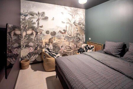 Appartement 2 voyageurs, avec jacuzzi