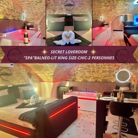 Appartement chic, 1 chambre, avec jacuzzi